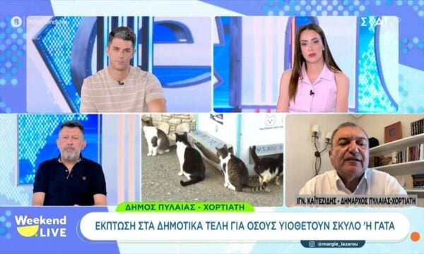 Δήμος Πυλαίας – Χορτιάτη: Έκπτωση στα δημοτικά τέλη για όσους υιοθετούν σκύλο ή γάτα