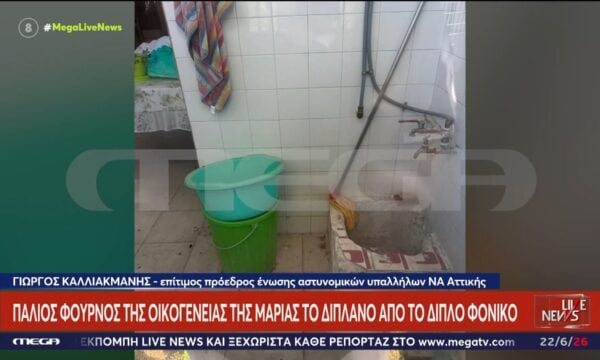 Διπλό φονικό στον Λόγγο – Γ. Καλλιακμάνης: Ήταν η μέρα που θα περνούσε το απορριματοφόρο από το σπίτι