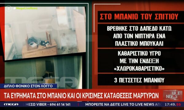 Διπλό φονικό στον Λόγγο: Τα ευρήματα στο μπάνιο και οι κρίσιμες καταθέσεις μαρτύρων