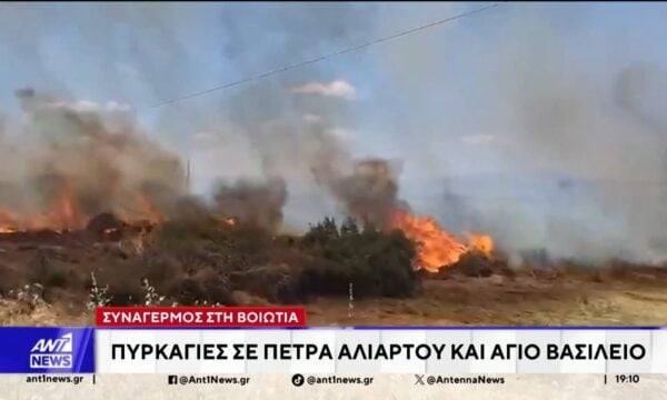 Δυο μεγάλες πυρκαγιές εκδηλώθηκαν στη Βοιωτία