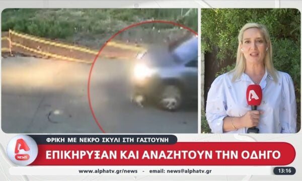 Δύο ύποπτες αυτήν την ώρα εξετάζονται για τη κτηνωδία στη Γαστούνη