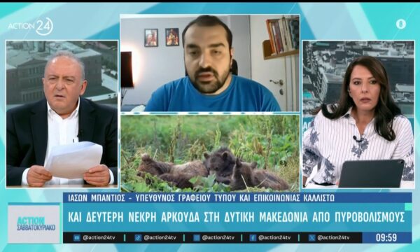 Δυτική Μακεδονία: Δεύτερο περιστατικό νεκρής αρκούδας από πυροβολισμούς – Γίνονται έρευνες