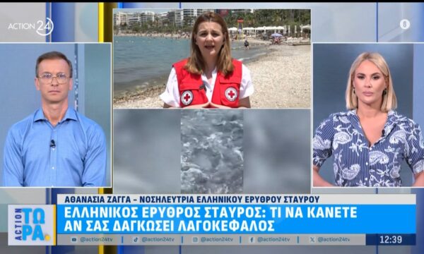 Ελληνικός Ερυθρός Σταυρός: Τι να κάνετε αν σας δαγκώσει λαγοκέφαλος