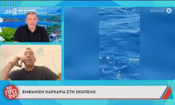Εμφάνιση καρχαρία στη Σκόπελο – Το Πρωινό – 29/06/2026