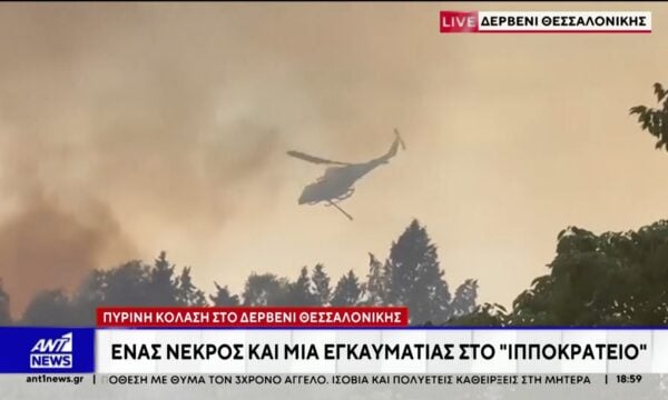 Ένας νεκρός από τη φωτιά στο Ωραιόκαστρο Θεσσαλονίκης
