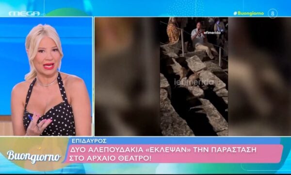 Επίδαυρος: Δύο αλεπουδάκια «έκλεψαν» την παράσταση στο αρχαίο θέατρο