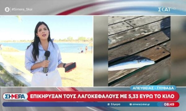 Επικήρυξαν τους λαγοκέφαλους με 5,33 ευρώ το κιλό