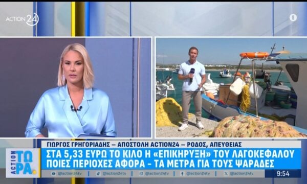 Επικήρυξη λαγοκέφαλων: Ποιες περιοχές αφορά & πόσο πάει το κιλό