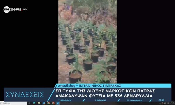 Επιτυχία της Δίωξης Ναρκωτικών Πάτρας: Ανακάλυψαν φυτεία με 336 δενδρύλλια