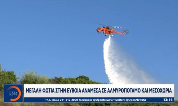 Εύβοια: Μεγάλη φωτιά ανάμεσα σε Αλμυροπόταμο και Μεσοχώρια