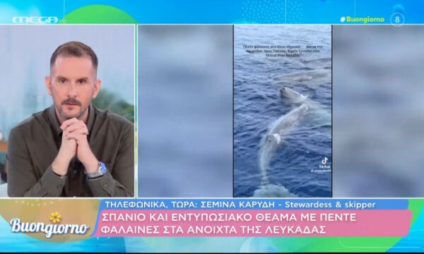 Φάλαινες στα ανοιχτά της Λευκάδας