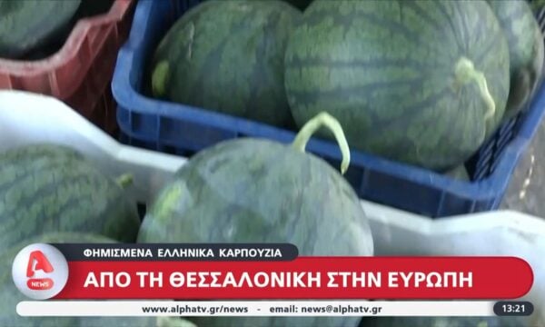Φημισμένα ελληνικά καρπούζια: Από τη Θεσσαλονίκη στην Ευρώπη