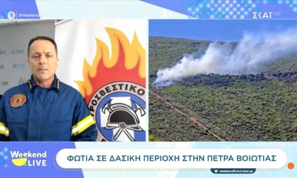 Φωτιά σε δασική περιοχή στον Άγιο Βασίλειο Βοιωτίας