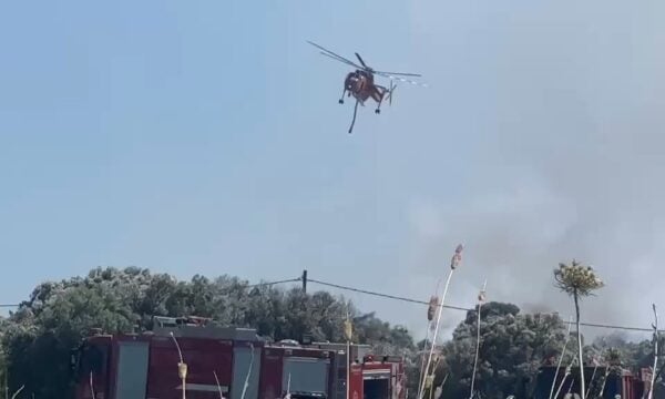 Φωτιά στα Σπάτα: Ελικόπτερα επιχειρούν μαζί με επίγειες δυνάμεις