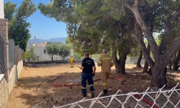 Φωτιά στη Διώνη στο Πικέρμι