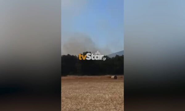 Φωτιά στη Μαριολάτα Φωκίδας – Σηκώθηκαν τα PZL