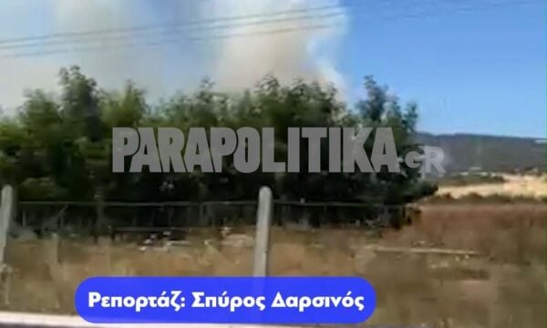 Φωτιά στη Ριτσώνα