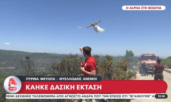 Φωτιά στη Βοιωτία: Κάηκε δασική έκταση