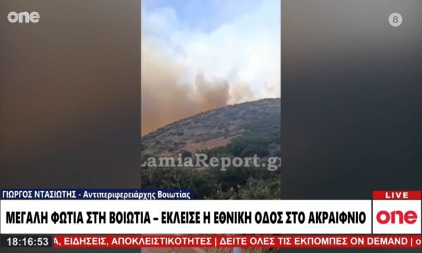 Φωτιά στη Βοιωτία: Μάχη με τις φλόγες στο Ακραίφνιο – Έκλεισε η εθνική οδός