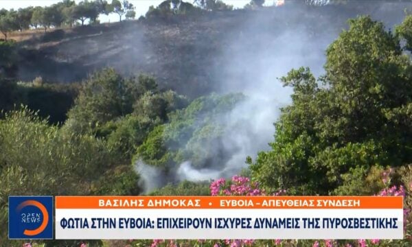 Φωτιά στην Εύβοια: Επιχειρούν ισχυρές δυνάμεις της πυροσβεστικής