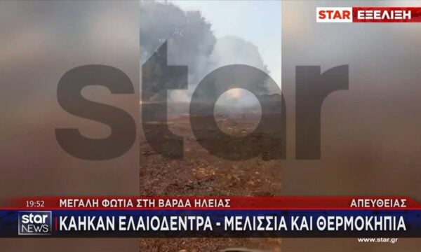 Φωτιά στην Ηλεία: Κάηκαν ελαιόδεντρα, μελίσσια και θερμοκήπια – Επιχειρούν τα εναέρια μέσα