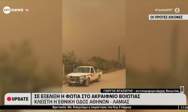 Φωτιά στο Ακραίφνιο Βοιωτίας – Γιώργος Ντασιώτης, Αντιπεριφερειάρχης Βοιωτίας