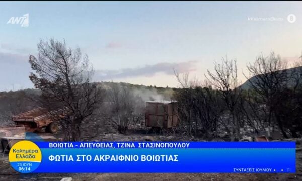 Φωτιά στο Ακραίφνιο Βοιωτίας – Καλημέρα Ελλάδα – 23/06/2026