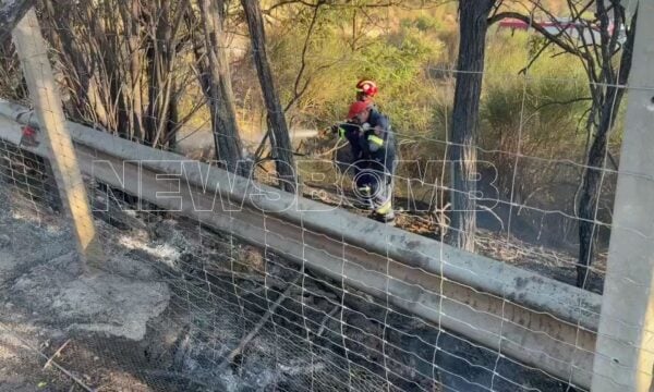 Φωτιά στο Ακραίφνιο Βοιωτίας: Πυροσβέστες επιχειρούν δίπλα στην εθνική