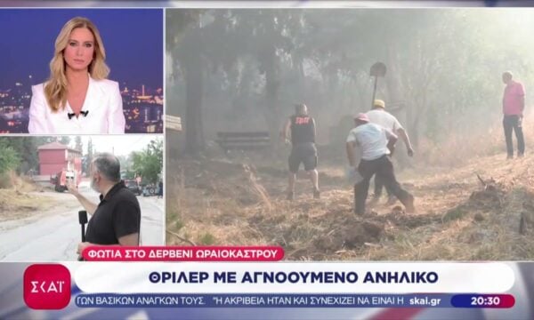 Φωτιά στο Δερβένι Ωραιοκάστρου: Θρίλερ με αγνοούμενο ανήλικο – Αναζωπύρωση της φωτιάς
