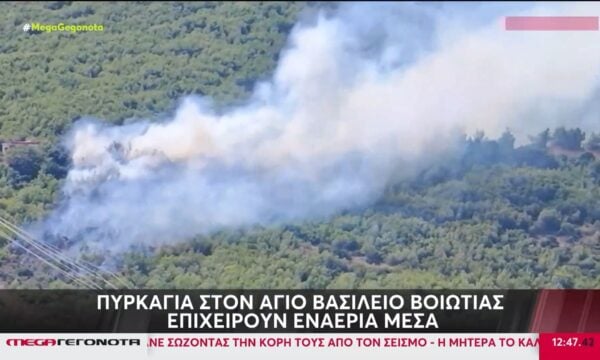 Φωτιά στον Άγιο Βασίλειο Βοιωτίας – Ήχησε το 112, επιχειρούν εναέρια μέσα