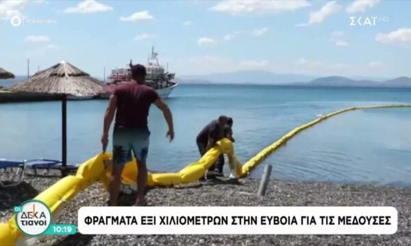 Φράγματα έξι χιλιομέτρων στην Εύβοια για τις μέδουσες