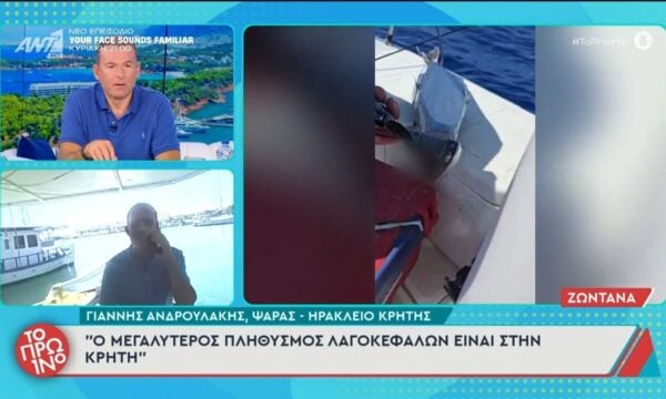 Γ. Ανδρουλάκης: “Ο μεγαλύτερος πληθυσμός λαγοκέφαλων είναι στη Κρήτη” – Το Πρωινό – 26/06/2026