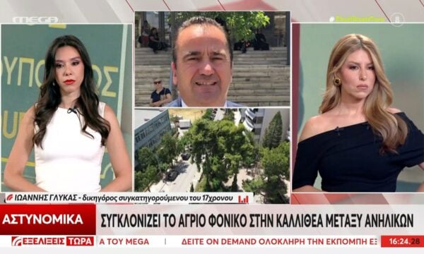 Γ. Γλύκας για Καλλιθέα: «Το “μετέπειτα θύμα” κυνήγησε αρχικά τον “μετέπειτα θύτη”»