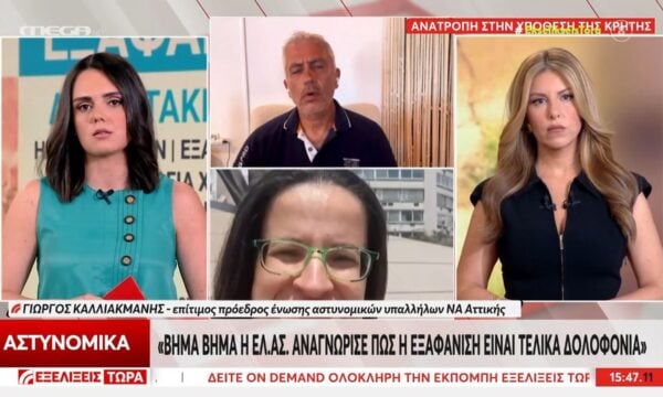 Γ. Καλλιακμάνης: «Είχε όλο το χρονό να κρύψει καλά τη σορό, πρέπει να μιλήσει»