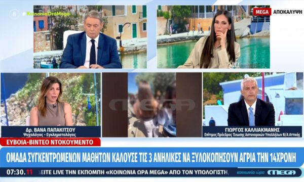 Γ. Καλλιακμάνης για ξυλοδαρμό στην Εύβοια: «Δεν υπήρχε ένας να σταματήσει αυτή την κατάσταση»
