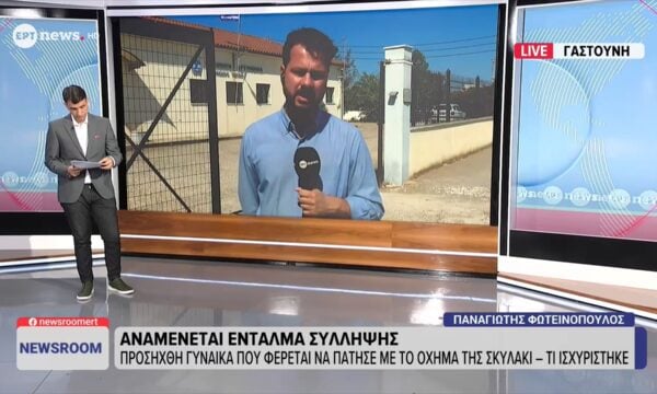 Γαστούνη: Αναμένεται ένταλμα σύλληψης – Προσήχθη γυναίκα που φέρεται να πάτησε με το όχημά της το σκυλάκι