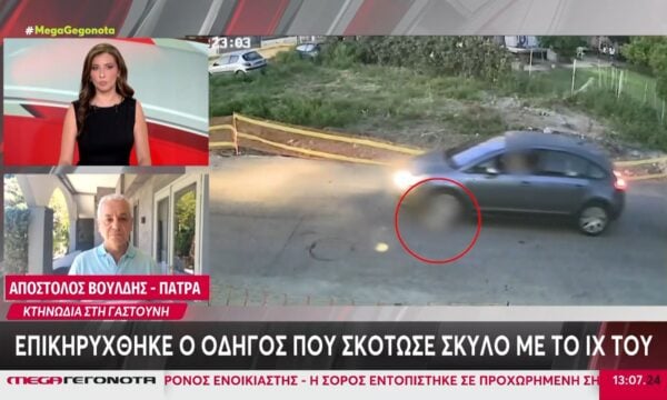 Γαστούνη: Επικηρύχθηκε ο οδηγός που σκότωσε σκύλο με το ΙΧ του