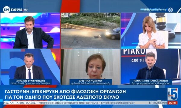 Γαστούνη: Επικύρηξη από φιλοζωική οργάνωση για τον οδηγό που σκότωσε αδέσποτο σκύλο