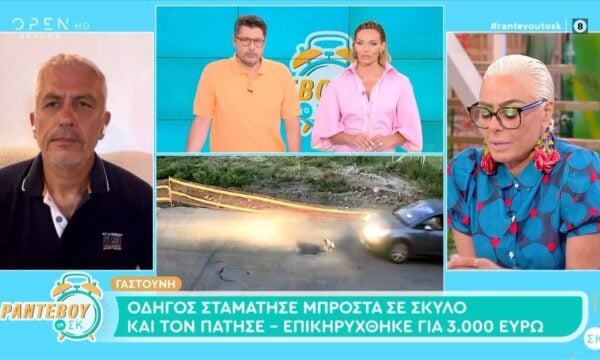 Γαστούνη: Οδηγός σταμάτησε μπροστά σε σκύλο και τον πάτησε – Επικηρύχθηκε για 3000 ευρώ