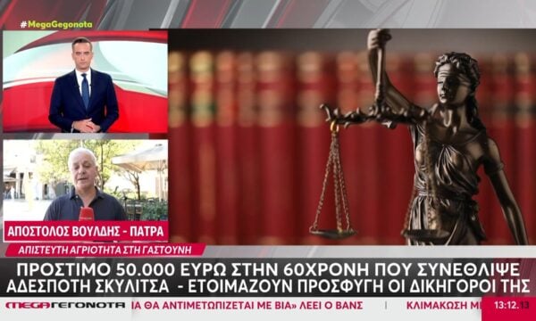 Γαστούνη: Πρόστιμο 50.000 ευρώ στην 60χρονη που παρέσυρε & συνέθλιψε αδέσποτο σκυλάκι