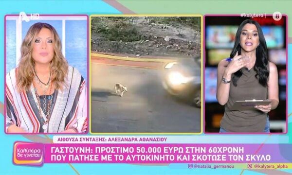 Γαστούνη: Πρόστιμο ύψους 50.000 ευρώ στην 60χρονη που πάτησε και σκότωσε σκύλο με το αυτοκίνητο