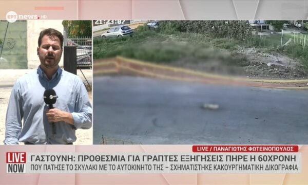 Γαστούνη: Προθεσμία για γραπτές εξηγήσεις πήρε η 60χρονη που πάτησε το σκυλάκι με το αυτοκίνητό της – Σχηματίστηκε κακουργηματική δικογραφία