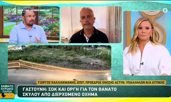 Γαστούνη: Σοκ και οργή για τον θάνατο σκύλου από διερχόμενο όχημα – Σαββατοκύριακο Παρέα – 21/06/2026