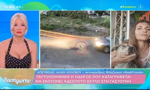 Γαστούνη: Ταυτοποιήθηκε η οδηγός που καταγράφεται να σκοτώνει αδέσποτο σκύλο
