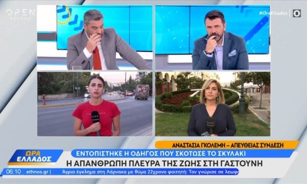 Γαστούνη: Ταυτοποιήθηκε η οδηγός που πάτησε και σκότωσε τον σκύλο