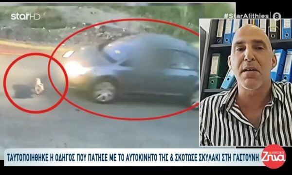 Γαστούνη: Ταυτοποιήθηκε η οδηγός που πάτησε σκυλάκι με αυτοκίνητο – Αντιδήμαρχος Πηνειού: «Μου λένε τα καλύτερα για τη γυναίκα αυτή»