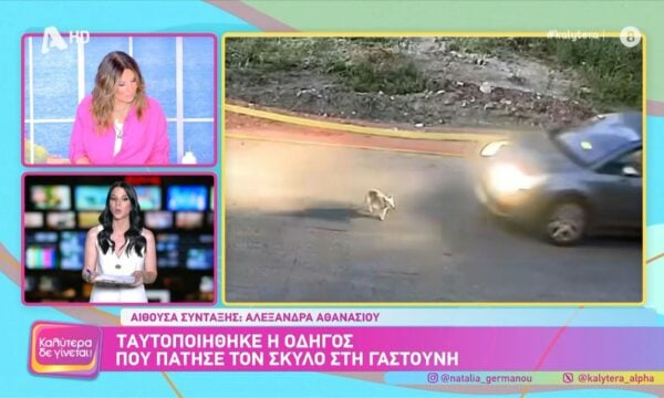 Γαστούνη: Ταυτοποιήθηκε η οδηγός που πάτησε τον σκύλο