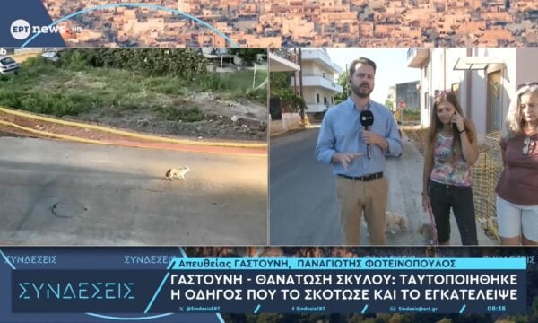 Γαστούνη – θανάτωση σκύλου: Ταυτοποιήθηκε η οδηγός – Η πρ. Φιλοζωικής Γαστούνης Αλίκη Κολοβού στο ΕΡΤnews