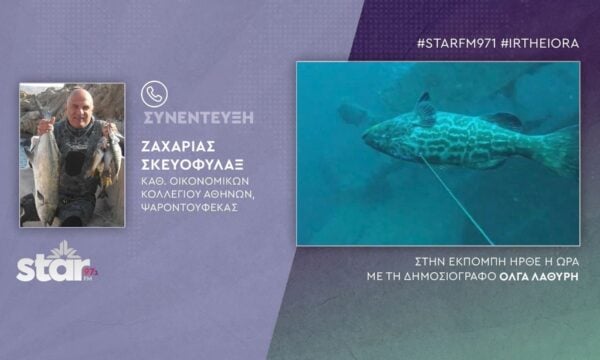 Γεμίσαμε λαγοκέφαλους, πάρτε άμεσα μέτρα, καταβροχθίζουν όλα τα αλιεύματα στο πέρασμά τους