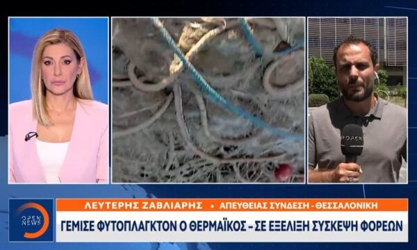 Γέμισε φυτοπλαγκτόν ο Θερμαϊκός – Σε εξέλιξη σύσκεψη φορέων